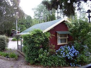 Cedar Lodge Cabins Маунт-Вікторія Екстер'єр фото